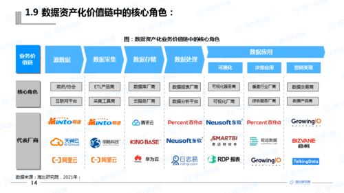 干貨丨 2021中國數(shù)據(jù)資產(chǎn)化工具市場研究報告