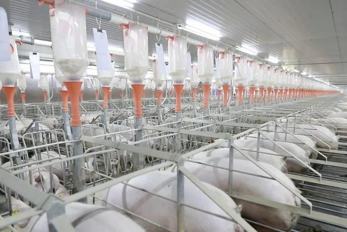 向大海更遠處航行 劉永好2023寄語與生物飼料研發(fā)的新希望
