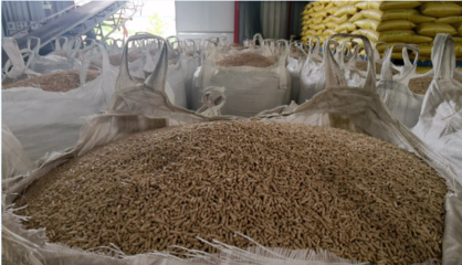 企業(yè)風采丨荊州格力特生物科技 以質(zhì)興企，助力養(yǎng)殖業(yè)降本增效的生物飼料研發(fā)