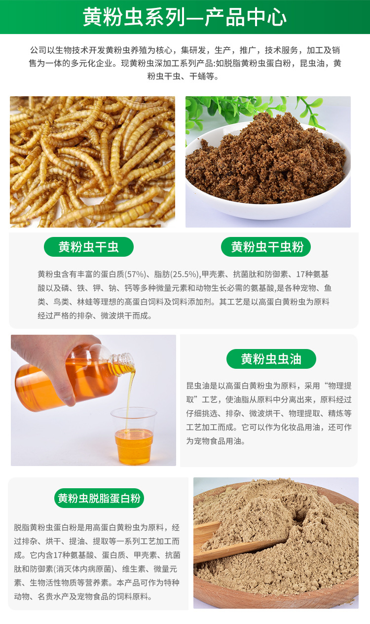 面包蟲干 小身材大營(yíng)養(yǎng)，一站式全寵物營(yíng)養(yǎng)解決方案